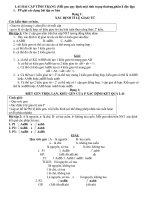 GIÁO ÁN PHỤ ĐẠO LAI HAI CĂP TÍNH TRẠNG