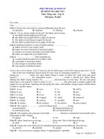 Đề mẫu HK I Anh 11_3