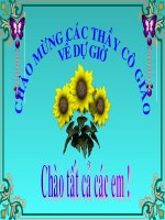 ĐIỆP NGỮ-ƯDCNTT (DẠY TỐT)