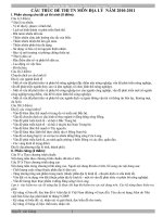 DE CUONG ON TAP HKI DIA 12 (NH10-11)