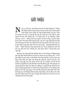 Nhung ong trum tai chinh - Giới thiệu