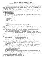 chương trình đại hội liên đội năm học 2010 - 2011