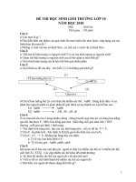 De thi HSG truong khoi 10 nam hoc 09-10