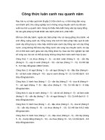 Công thức luân canh rau quanh năm