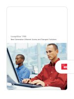 LoopStar®700 Next Generation Ethernet Access and Transport Solutions