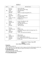 giáo án lớp 5 _tuần 17 _ CKTKN(2010-2011)