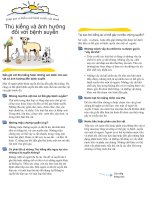 Thú kiểng và ảnh hưởng đối với bệnh suyễn