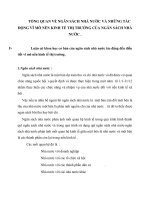 TỔNG QUAN VỀ NGÂN SÁCH NHÀ NƯỚC VÀ NHỮNG TÁC ĐỘNG VĨ MÔ NỀN KINH TẾ THỊ TRƯỜNG CỦA NGÂN SÁCH NHÀ NƯỚC