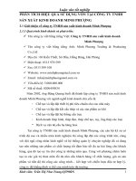 PHÂN TÍCH HIỆU QUẢ SỬ DỤNG VỐN TẠI CÔNG TY TNHH SẢN XUẤT KINH DOANH MINH PHƯỢNG