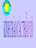 Bai 10-Thay Boi Xem Voi