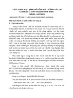 THỰC TRẠNG HOẠT ĐỘNG MỞ RỘNG THỊ TRƯỜNG TIÊU THỤ SẢN PHẨM Ở CÔ NG TY LIÊN DOANH TNHH