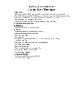 Giáo án tuần 17 chieu