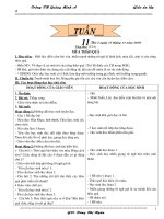 giáo án lớp 5-Tuần 12( CKTKN)