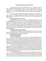 Judo bài học quí báu trong cạnh tranh