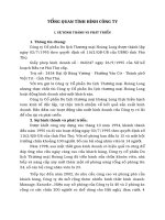 TỔNG QUAN TÌNH HÌNH CÔNG TY