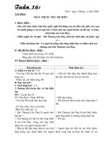Giáo án lớp 5 Tuần 16 CKT- Mai