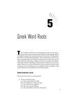 Greek Word Roots
