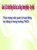 Lao động ở trường THCS như thế nào ?