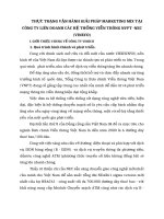 THỰC TRẠNG VẬN HÀNH GIẢI PHÁP MARKETING MIX TẠI CÔNG TY LIÊN DOANH CÁC HỆ THỐNG VIỄN THÔNG NVPT