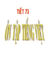 Ôn tập tiếng Việt (tiết 73)