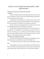 CƠ SỞ LÝ LUẬN VỀ HẠCH TOÁN HÀNG HOÁ VÀ TIÊU THỤ HÀNG HOÁ