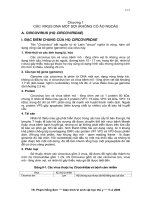 CÁC VIRUS DNA HAI SỢI KHÔNG CÓ ÁO NGOÀI