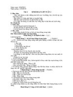 giao an chu nhiem lop 9