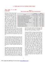 TỔNG QUAN VỀ AN NINH LƯƠNG THỰC