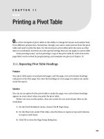 Printing a Pivot Table