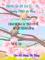 Bài 37- Tiết45- Tảo