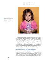 Light—Science & Magic- P7