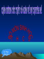 Bài 30-Vệ sinh tiêu hóa