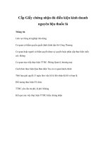 Cấp Giấy chứng nhận đủ điều kiện kinh doanh nguyên liệu thuốc lá