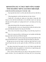 ĐỊNH HƯỚNG ĐẦU TƯ PHÁT TRIỂN NÔNG NGHIỆP TỈNH THÁI BÌNH  NHỮNG GIẢI PHÁP THÍCH HỢP