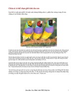 Dong vat co the chon gioi tinh cho the he sau?