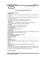 Giáo án 6 tiết 11