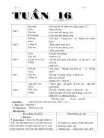 giao na lop 2 tuan 16