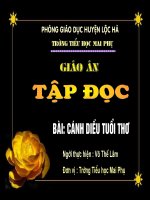 TẬP ĐỌC: Cánh diều tuổi thơ