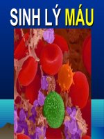 sinh lý mau