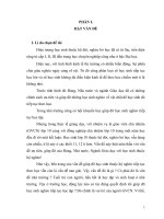 (SKKN đặt giải C tỉnh Đăk Lăk)