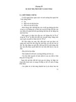 Sự hấp thụ, phân bố và đào thải