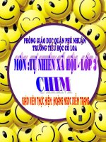 Chim - TNXH lớp 3