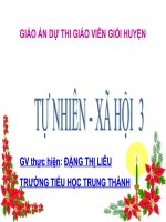 AN TOAN KHI DI XE DAP- TN XH - LOP 2