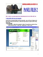 Hướng dẫn - Dreamweaver 8 - PanelFile 2