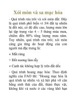 Xói mòn và sa mạc hóa