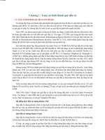 thuyet trinh quy dau tu 