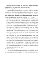 Thực trạng công tác kế toán chi phí, doanh thu và xác định kết quả tiêu thụ tại Công ty TNHH công nghiệp chính xác Việt Nam 1