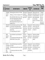 KHBM ĐẠI SỐ 7 THEO PPCT 2010-2011