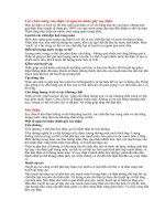 Các chức năng của thận và nguyên nhân gây suy thận