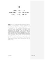 THE ART OF SEEING THE FOREST AND THE TREES